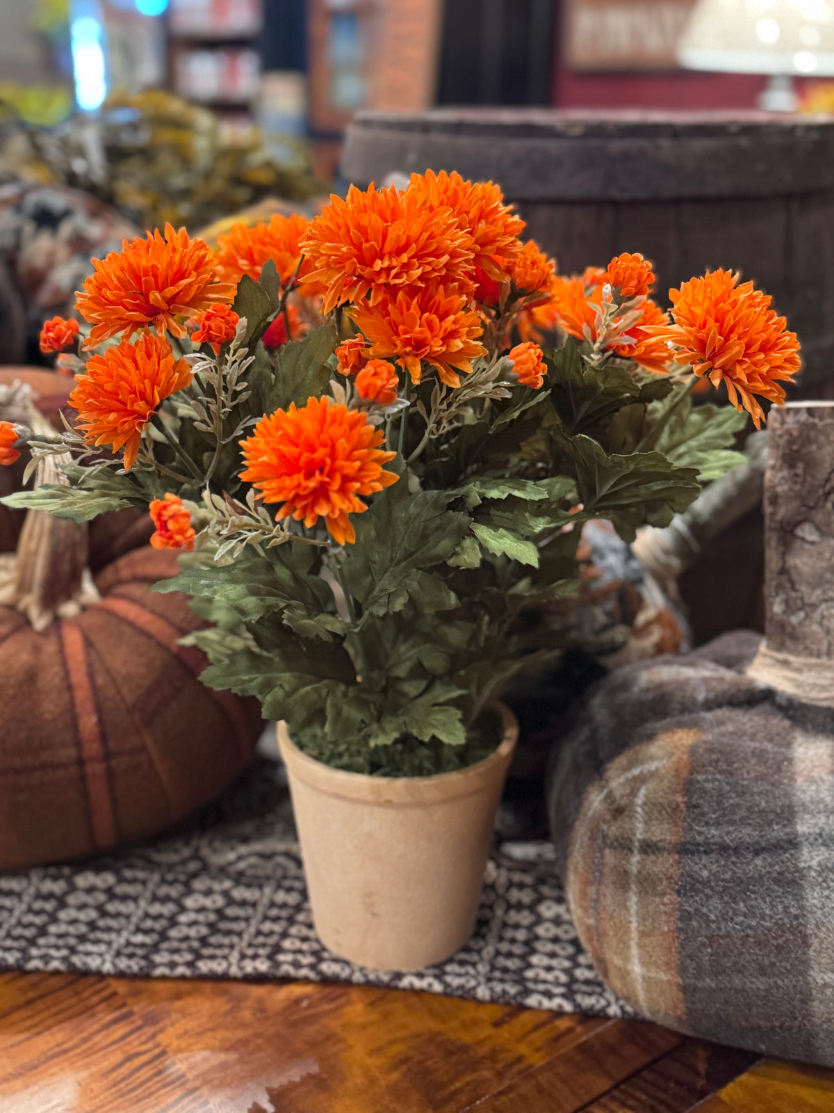 Potted Mum