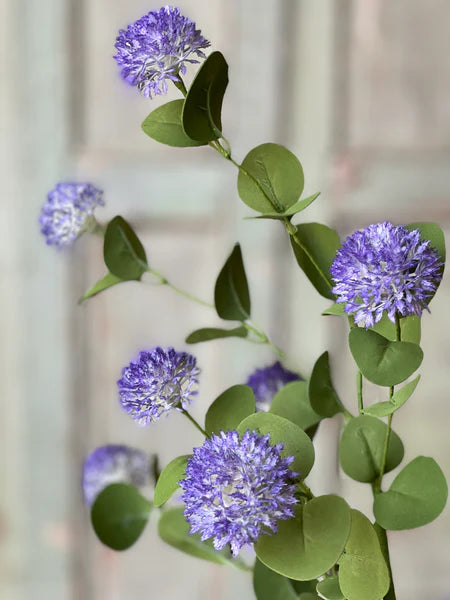 Calistoga Spray Flower