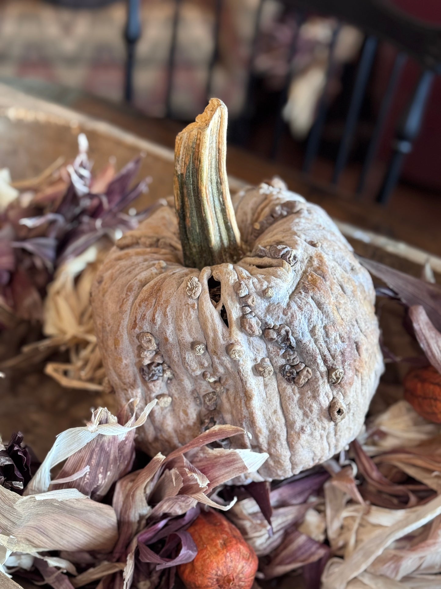 Dehydrated Pumpkins Large