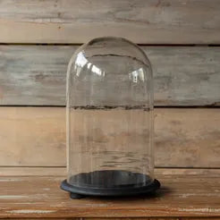 Glass Domes / Cloche