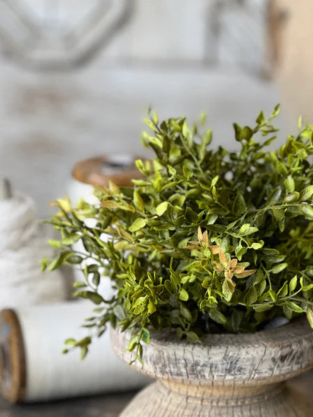 Lemon Beauty Half Sphere Greenery