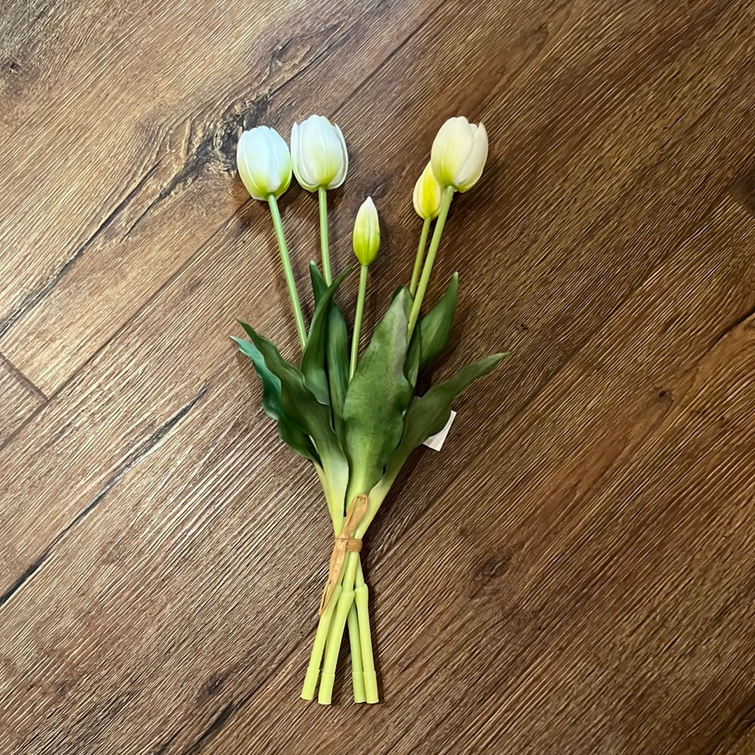 Realistic Short Tulips