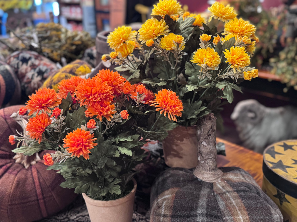 Potted Mum