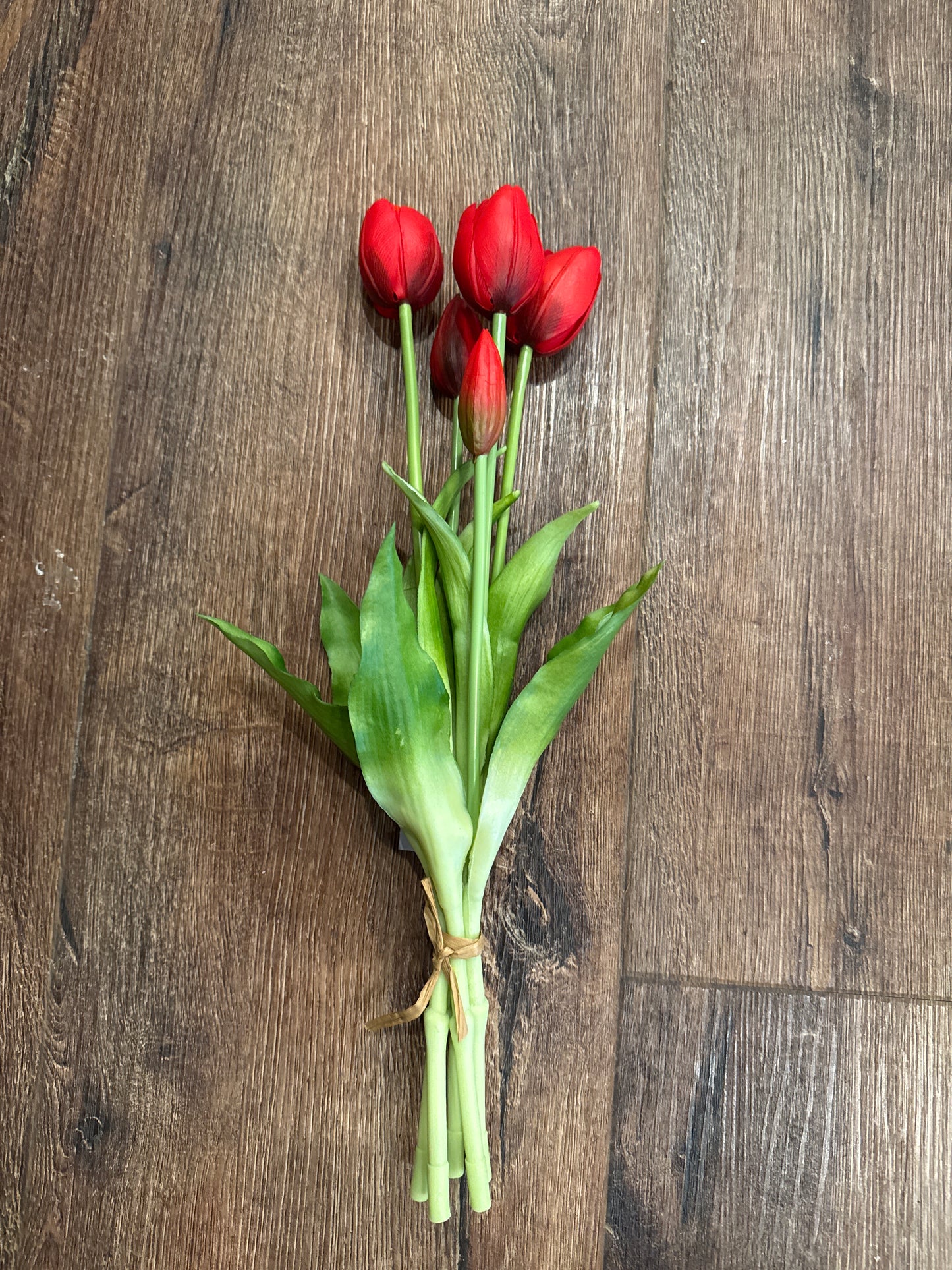 Realistic Tulips