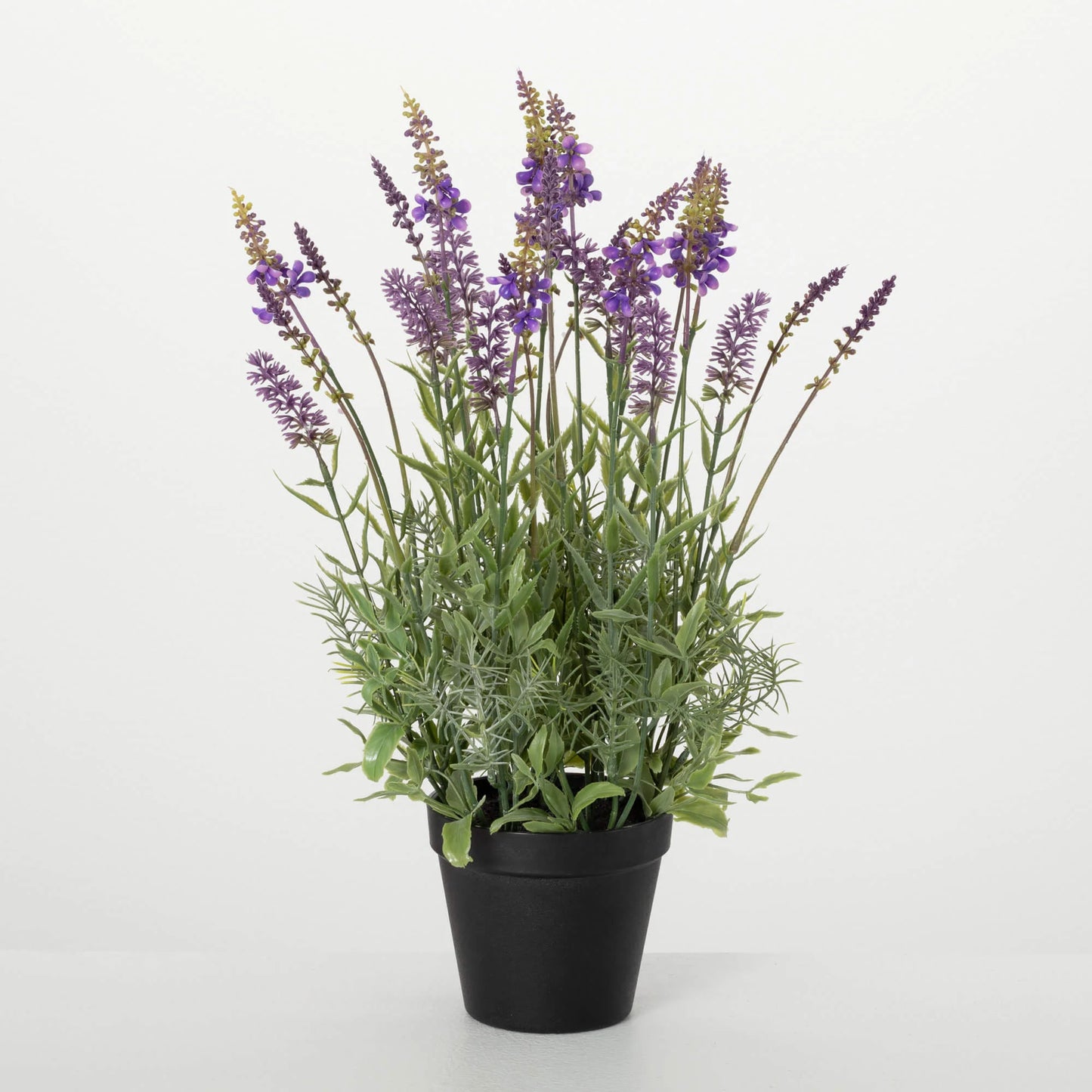 Potted Lavender Flowers