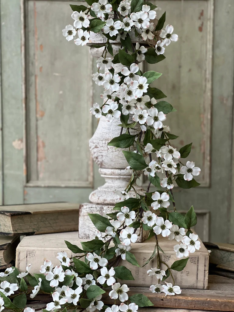 Dogwood Collection