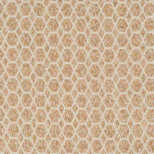 2076 Stacy Morning Grade B