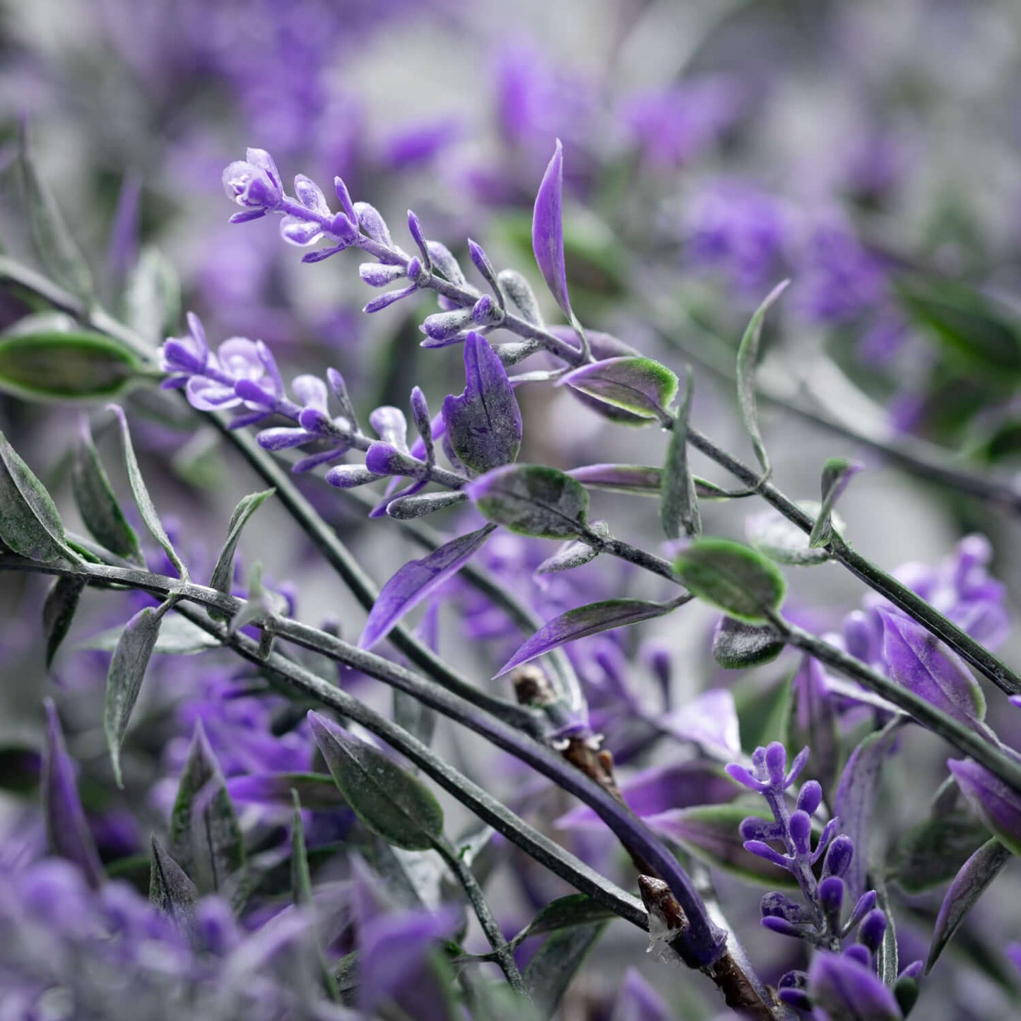 Lavender Drape Greenery Flower