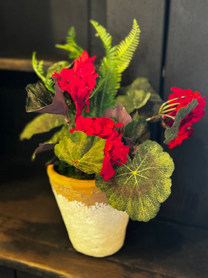 Geranium and Fern Pot