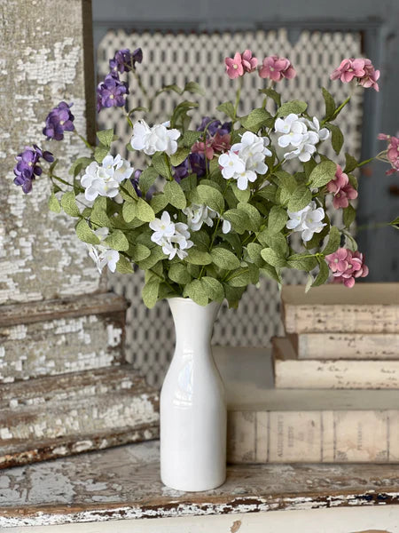 Glendover Blooms Violets Flower