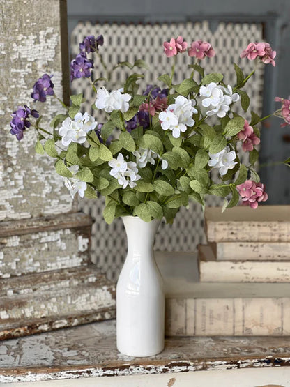 Glendover Blooms Violets Flower