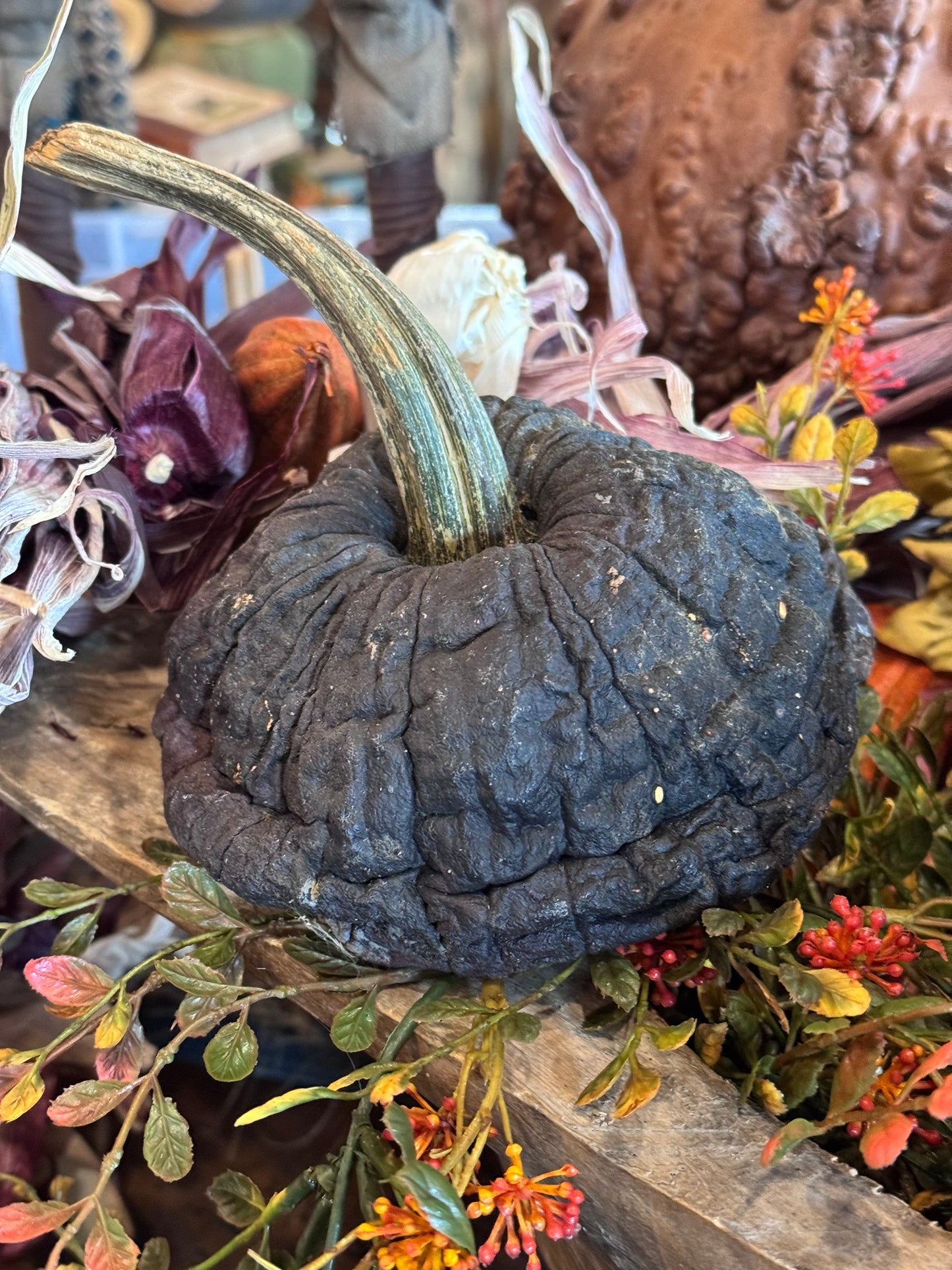 Dehydrated Pumpkins Medium