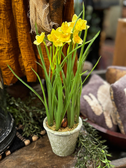 Daffodil Pot