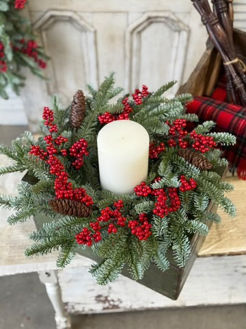 Spruce w/Red Berry Collection Winter
