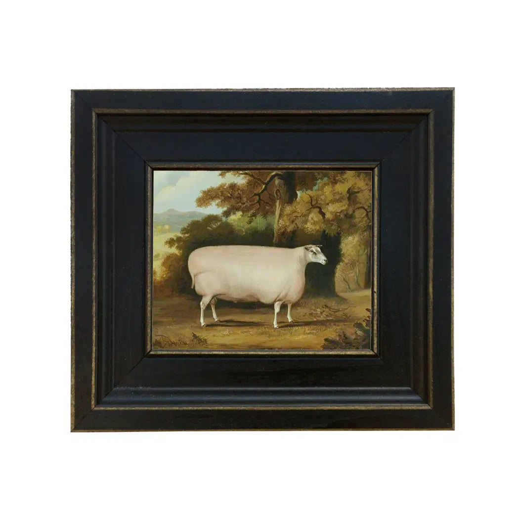 Sheep Vintage Painting Print On Canvas
