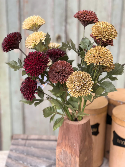 Fall Picadilly Stems