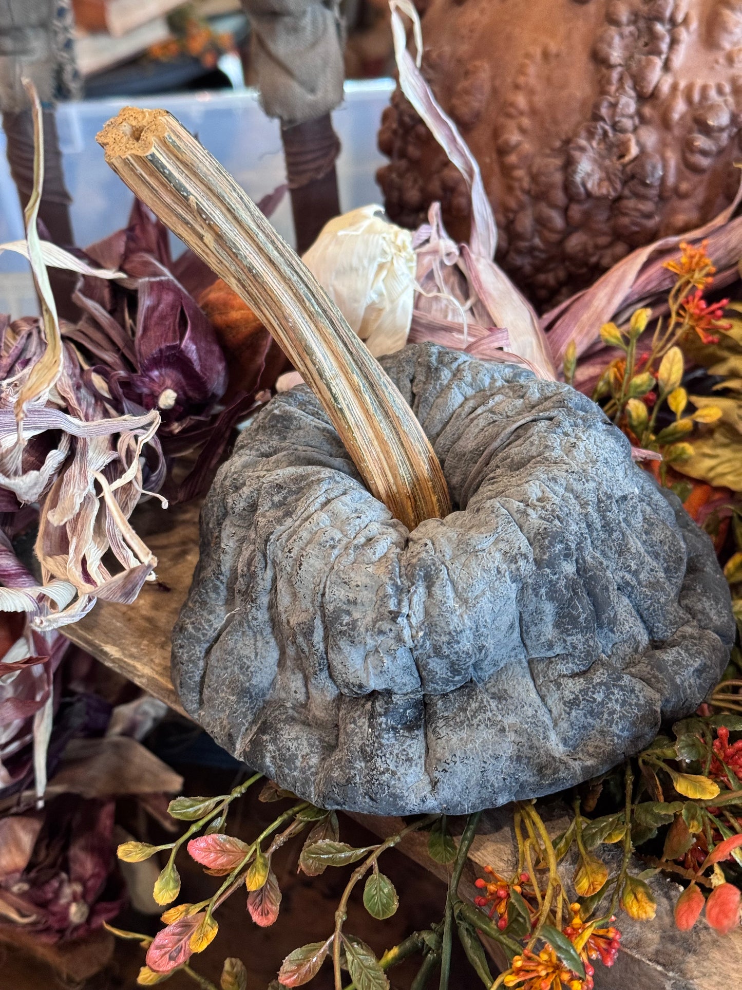 Dehydrated Pumpkins Medium