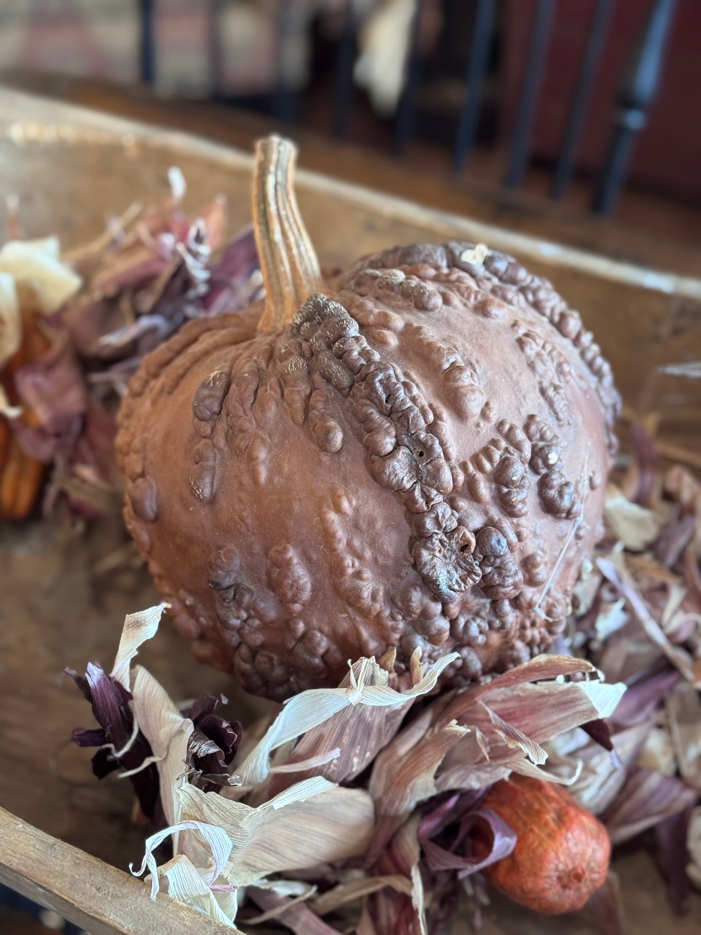 Dehydrated Pumpkins Large