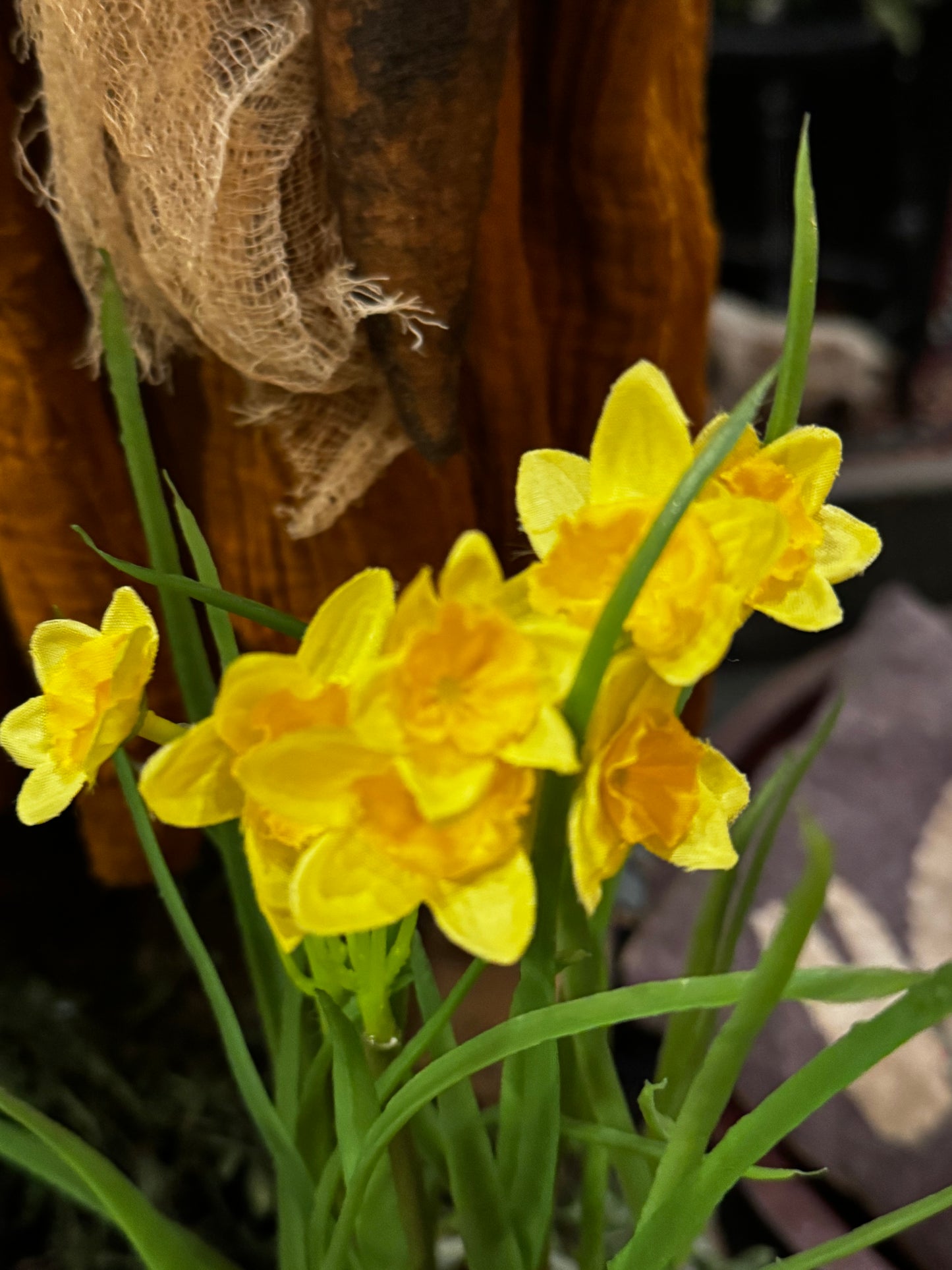 Daffodil Pot