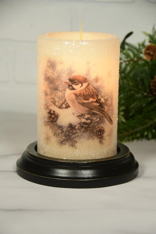 Winter/Christmas Sleeves