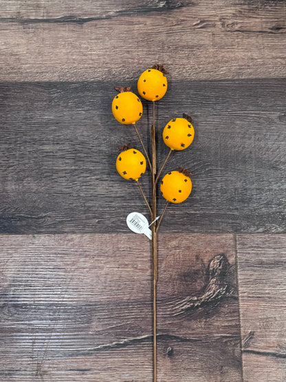 Cloved Orange Pick