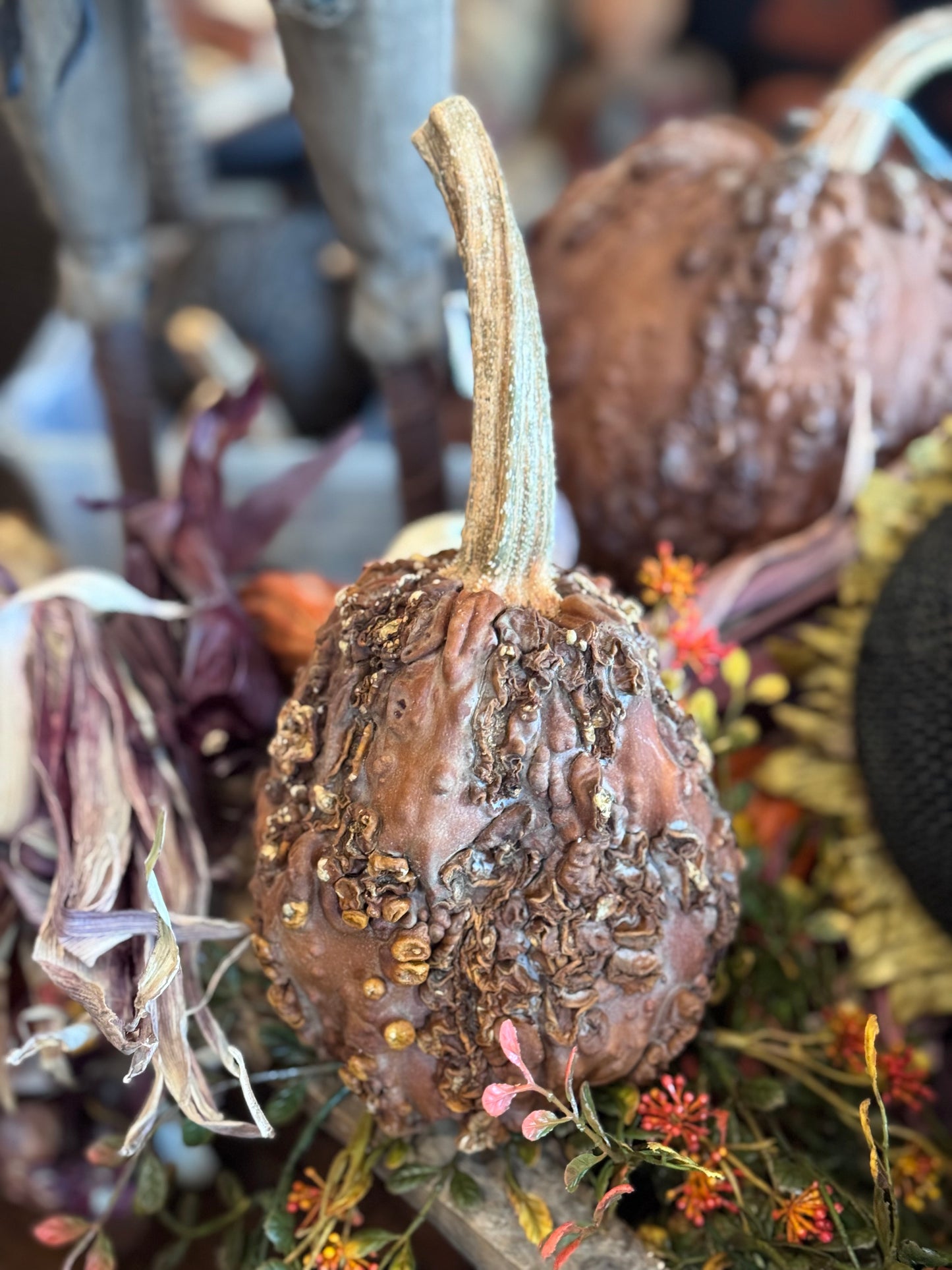 Dehydrated Pumpkins Medium