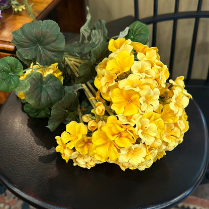 Geraniums Large Pick/Bushes