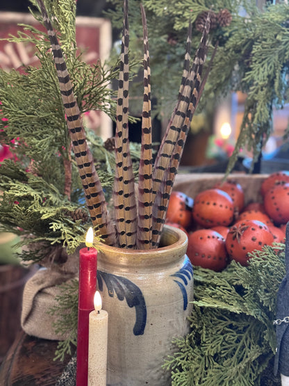 Pheasant Feathers