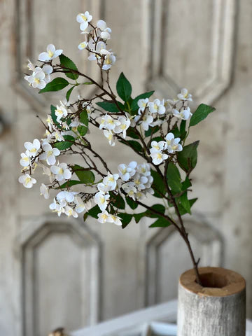 Canterbury Hydrangea Stem