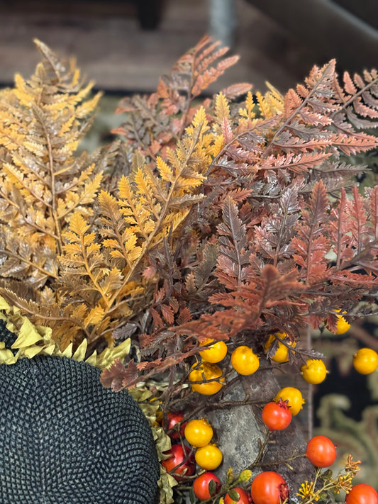Fall Fern Picks
