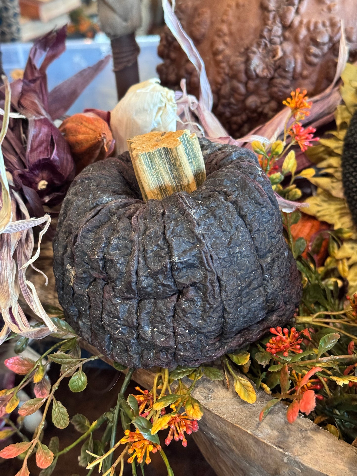 Dehydrated Pumpkins Medium