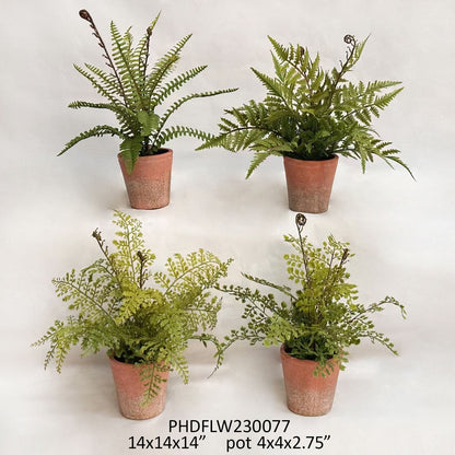 Potted Faux Ferns