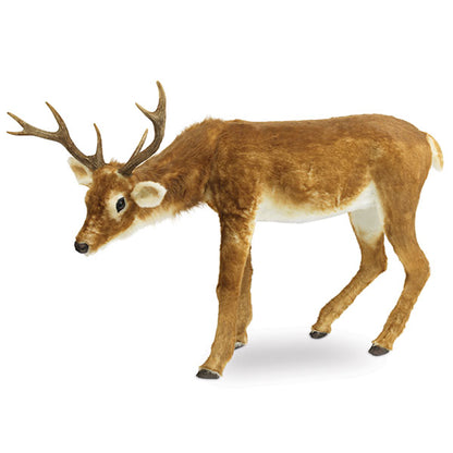 Realistic Deer