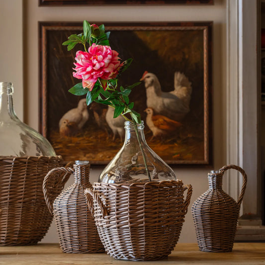 Beautiful Pink Peony