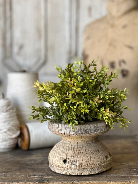 Lemon Beauty Half Sphere Greenery