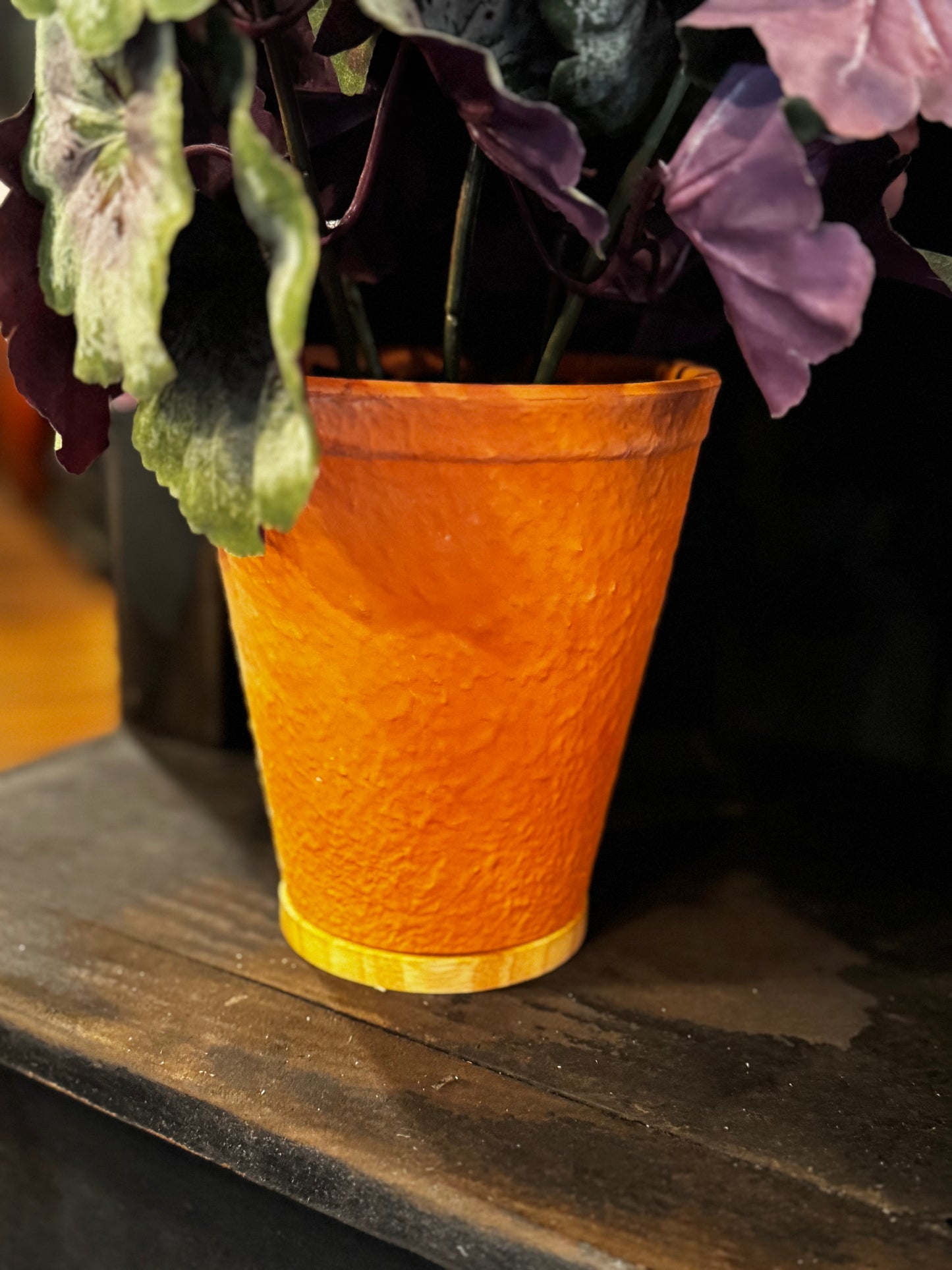 Large Potted Geraniums
