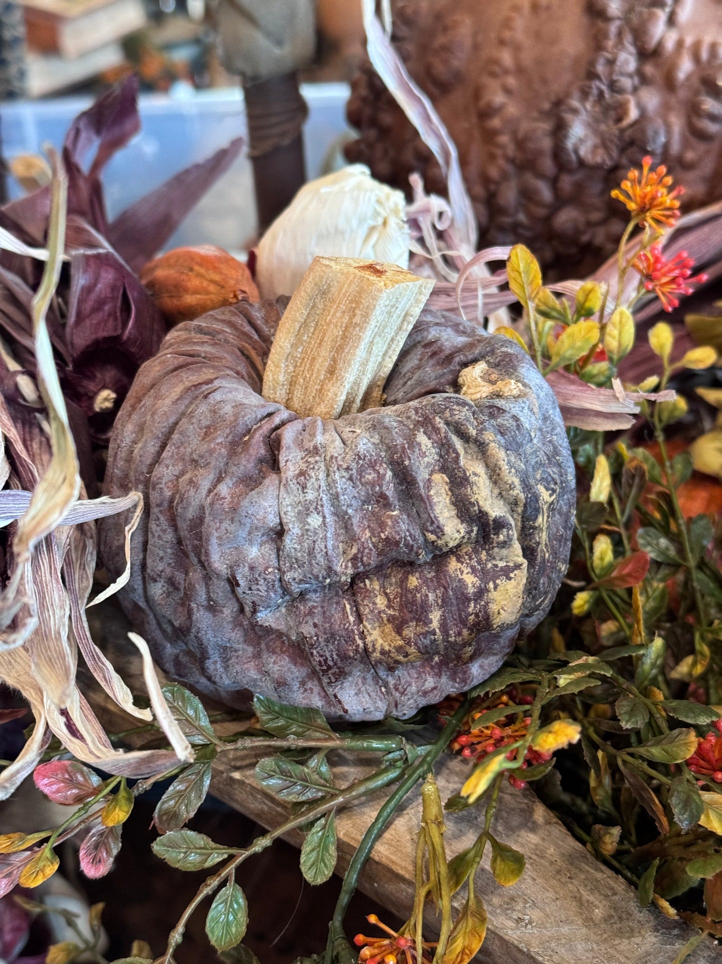 Dehydrated Pumpkins Medium