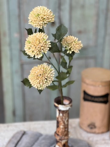 Fall Picadilly Stems