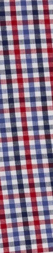 Americana Dishtowels