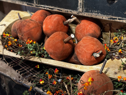 SALE Small Pumpkins