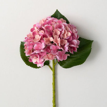 Fuchsia Hydrangeas Stem