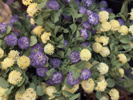 Calistoga Spray Flower