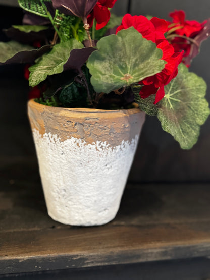 Geranium and Fern Pot