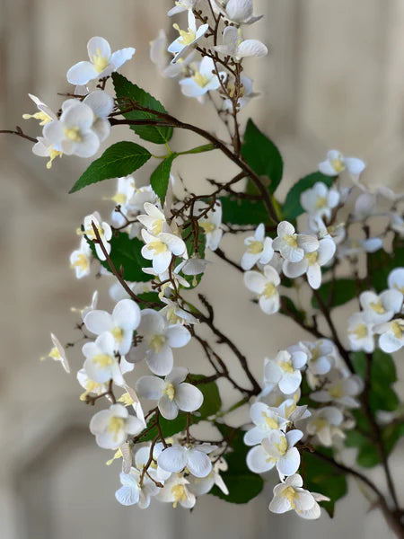 Canterbury Hydrangea Stem