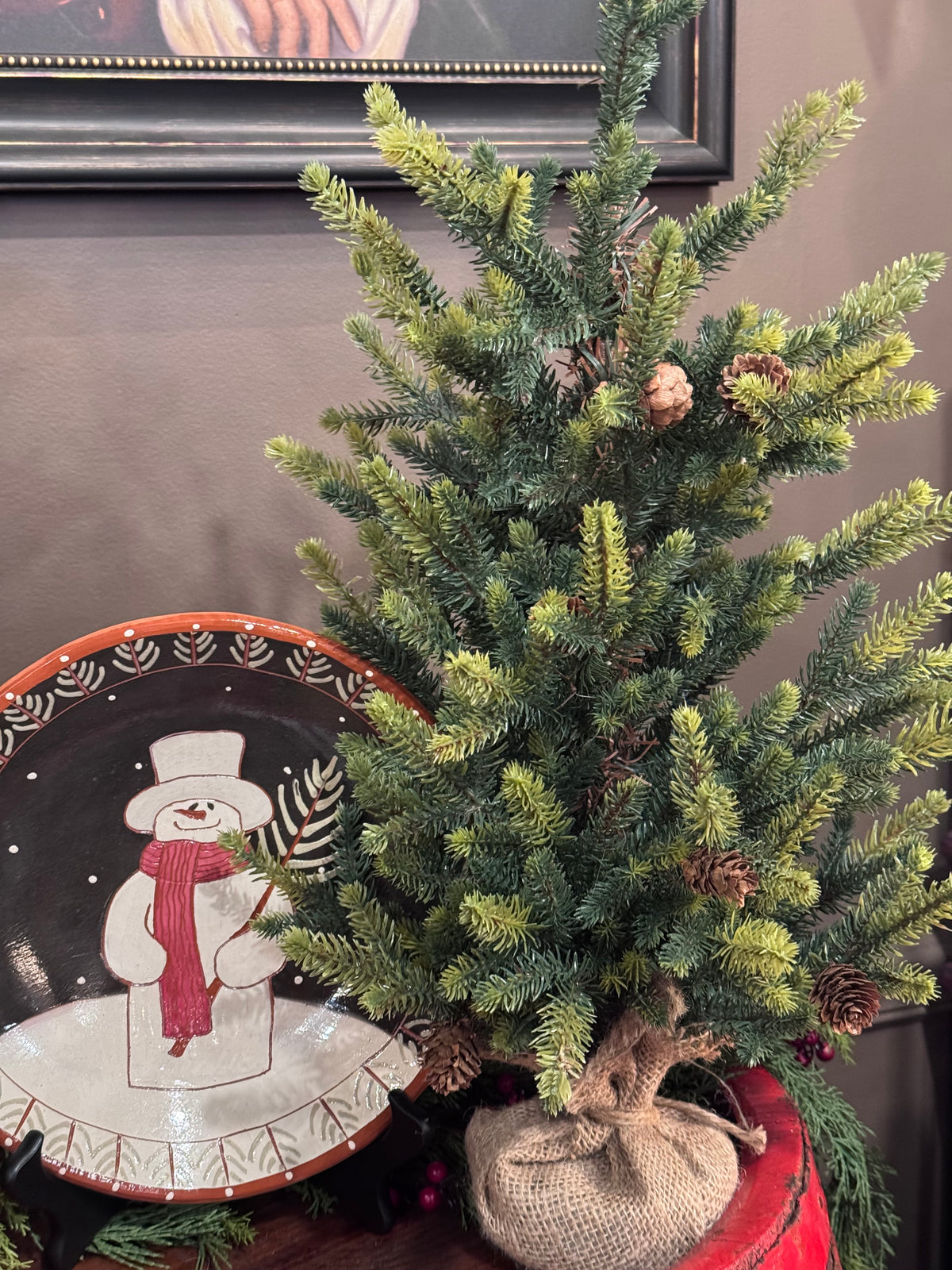 Balsam Fir Seedling Winter Trees