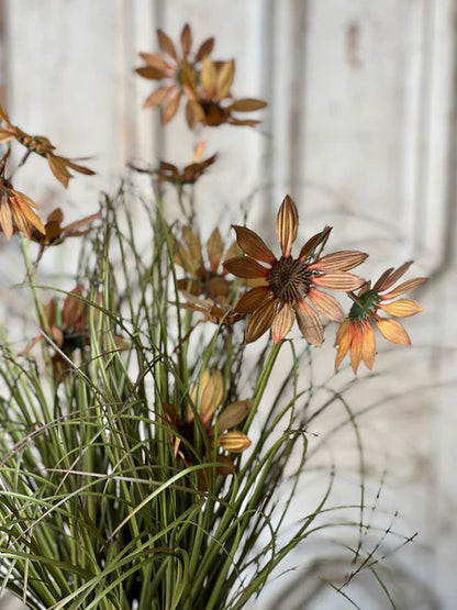 Potted Coneflowers Fall