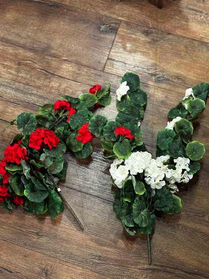 Hanging Geranium Bush