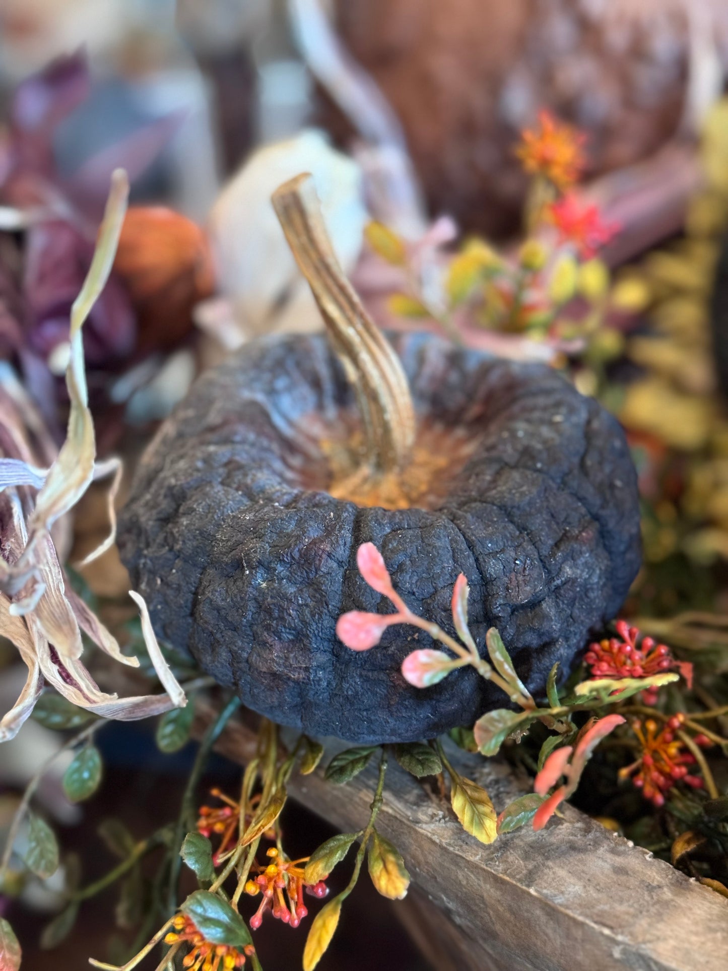 Dehydrated Pumpkins Medium