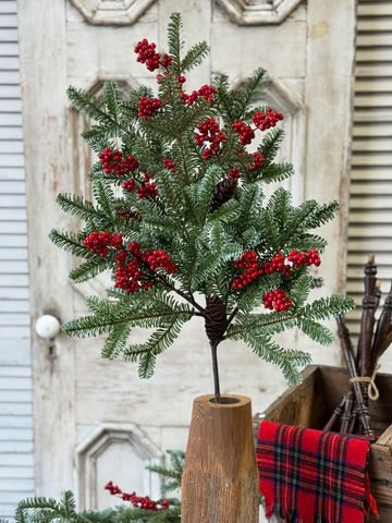 Spruce w/Red Berry Collection Winter