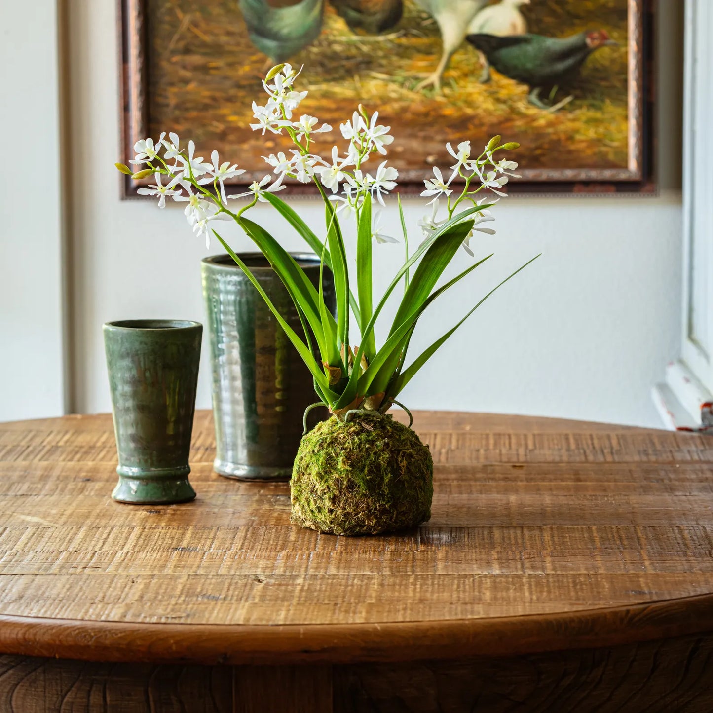 Orchid Moss Ball